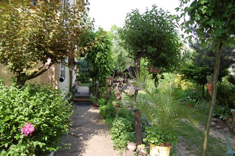 Mszros Zsuzsa kertje (fot: Vigh Gyrgy)