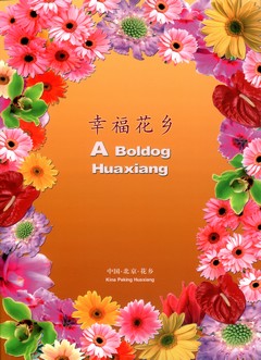 A Boldog Huaxiang fotalbum