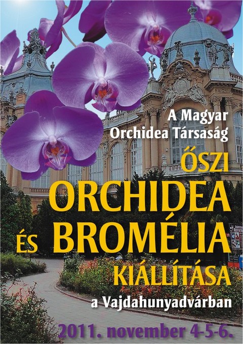 Orchidek a mindennapjainkban, Orchidea s Bromlia Killts, Budapest, 2011. november 4-6., Vajdahunyadvr