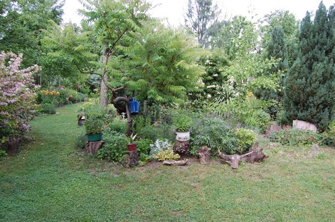 Mszros Zsuzsa kertje (fot: Vigh Gyrgy)