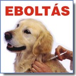 Ebolts - 2012. mjus 24-n s 25-n