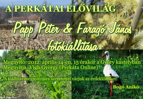A perktai lvilg - Papp Pter s Farag Jnos fotkilltsa 2012.04.14.