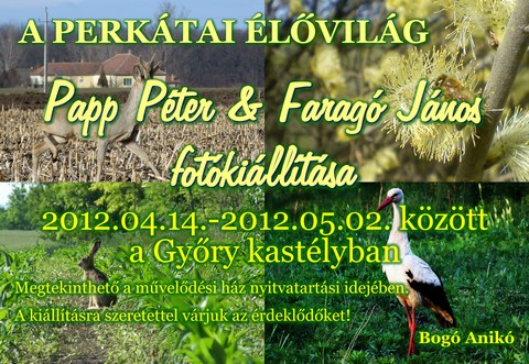 A perktai lvilg - Papp Pter s Farag Jnos fotkilltsa 2012.04.14. - 2012.05.02.
