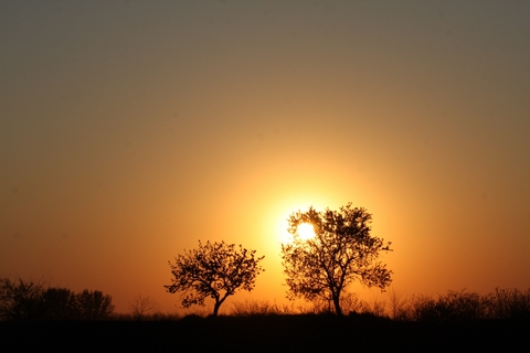 Szentes Kitti: Bcs a Naptl