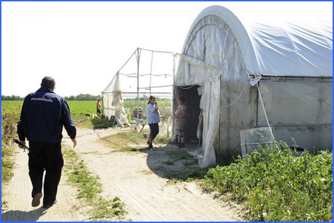 Szkesfehrvri polgrr egy mrahalmi tanyn a szerb-magyar hatr kzelben